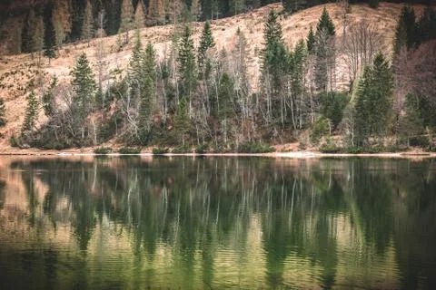 Autumnal reflection Stock Photos