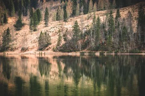 Autumnal reflection Stock Photos