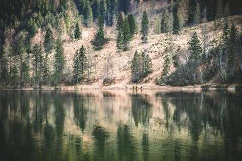 Autumnal reflection Stock Photos