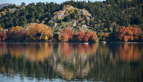 Autumnal reflections Stock Photos