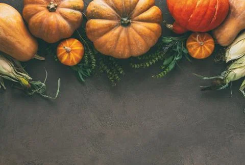 Autumnal rustic pumpkin background Stock Photos