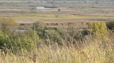 Autumnal slopes of Oder River near Gartz, Unteres Odertal National Park, Germany Stock Footage 12907818