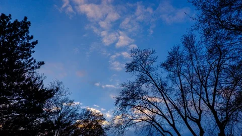 Autumnal Sunset Video stock 99812416