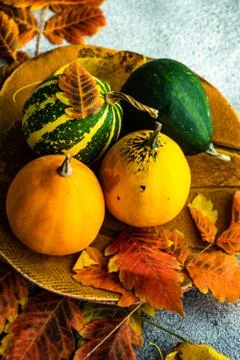 Autumnal table setting 스톡 사진