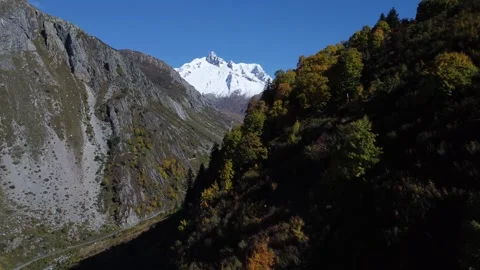 Autumnal Trees with distant snowfall in the Mountains Stock Footage 290028154