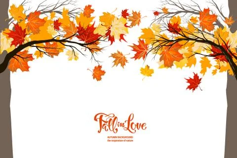 Autumnal trees frame Stock Illustration