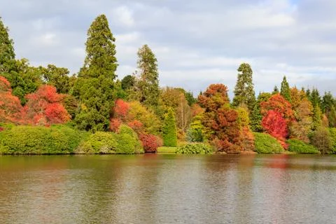 Autumnal Trees Stock Photos