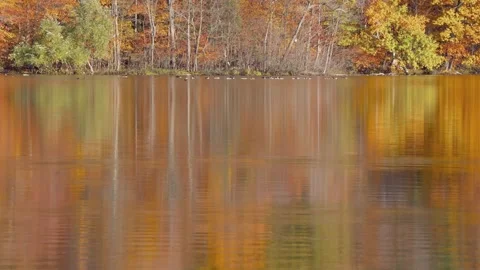 Autumncanada00000042 Stock Footage 244220042