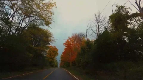 AutumnDrive02 Stock Footage 142100862