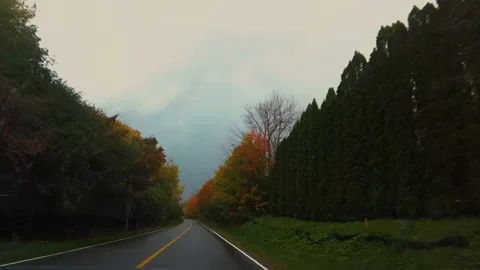 AutumnDrive03 Stock Footage 142100795