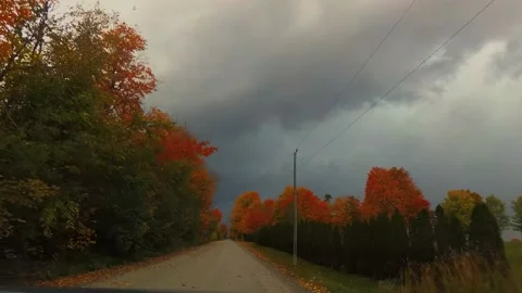 AutumnDrive04 Stock Footage 142100823