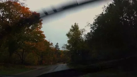 AutumnDrive07 Stock Footage 142100708