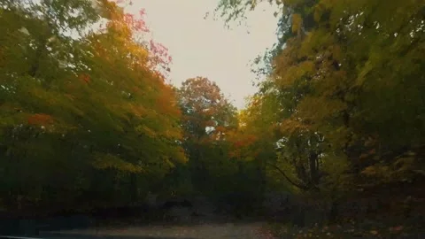 AutumnDrive09 Stock Footage 142100733