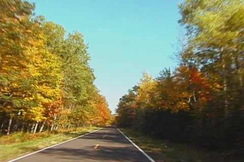 AutumnDrive1 NS DV NTSC Stock Footage 86155