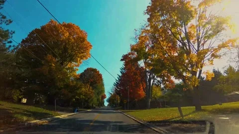 AutumnDrive15 Stock Footage 142100543