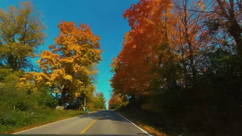AutumnDrive16 Stock Footage 142100515