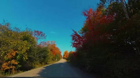 AutumnDrive18 Video stock 142100509