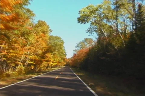 AutumnDrive2 NS DV NTSC Stock Footage 86156