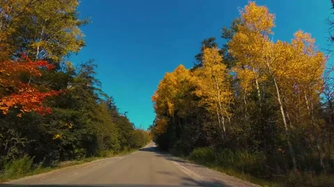 AutumnDrive20 Stock Footage 142100407
