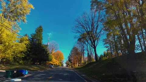 AutumnDrive21 Stock Footage 142100427