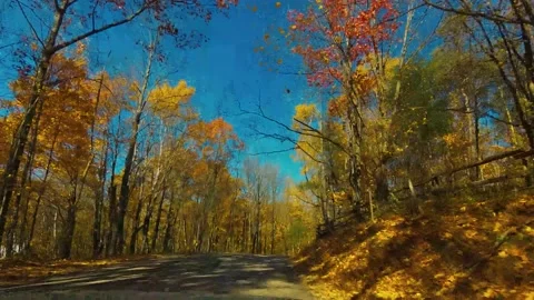 AutumnDrive29 Stock Footage 142100258