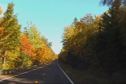 AutumnDrive3 NS DV NTSC Stock Footage 86157