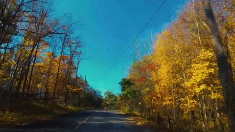 AutumnDrive30 Video stock 142100235