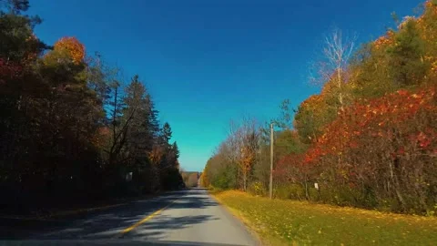 AutumnDrive31 Stock Footage 142100191