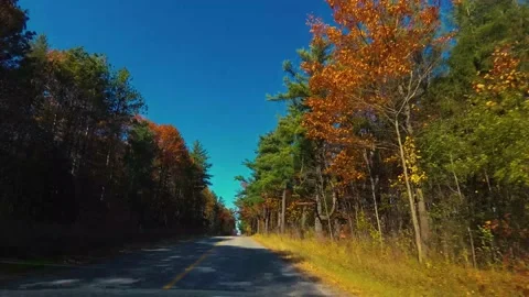 AutumnDrive32 Stock Footage 142100169