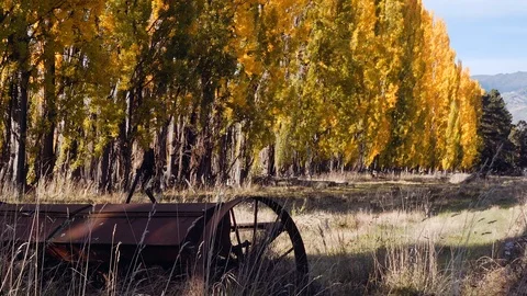 Autumn/Fall Stock Footage 125584666