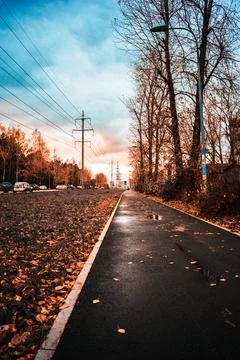 Autumnn 스톡 사진