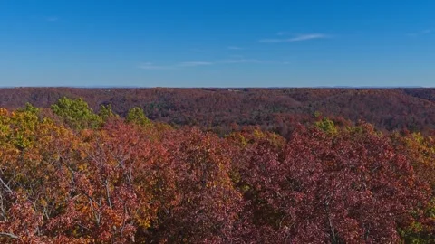 Autumn’s Infinite Tapestry: A Panoramic View of Rolling Crimson Hills Video stock 323975804