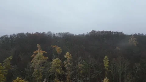 Autumn's Last Dance Stock Footage 260303980
