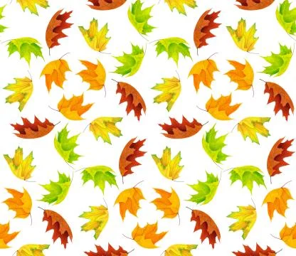 Autunm leaves pattern Stock Photos