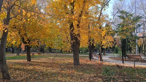Autunm park 5 Stock Footage 221002042