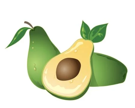 Avacado Stock Illustration