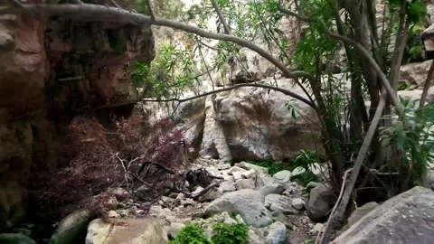 Avakas Gorge Stock Footage 331469949