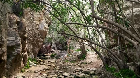 Avakas Gorge Paphos Summer Stock Footage 331469946