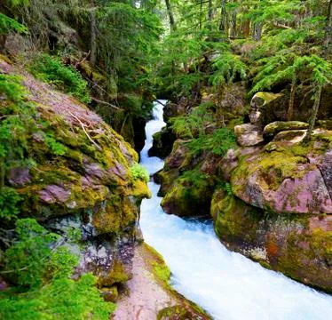 Avalanch gorge Stock Photos
