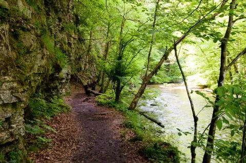 Avalanche forest Stock Photos