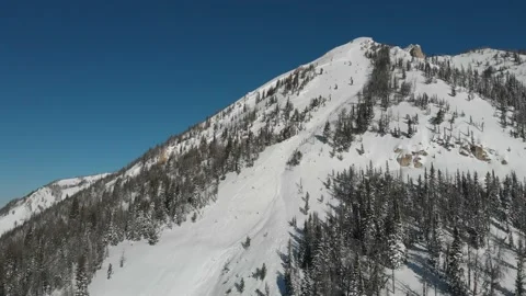 Avalanche path with recent avalanche activity Stock Footage 166131687