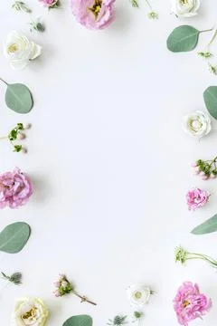 Avalanche roses frame on white background Stock Photos