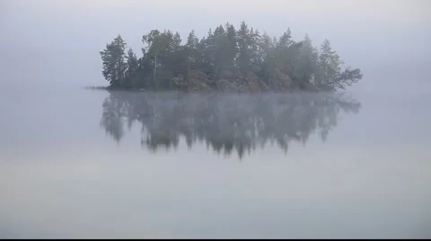 Avalon Stock Footage 882574