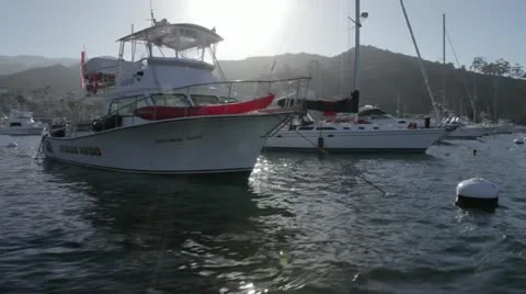 AVALON Stock Footage 10854135