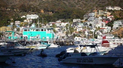 Avalon Harbor 01 HD Stock Footage 35865898
