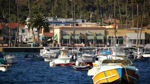 Avalon Harbor 05 HD Vídeo Stock 35867476