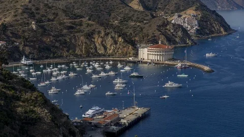 Avalon Harbor Closeup 스톡 동영상 100299052