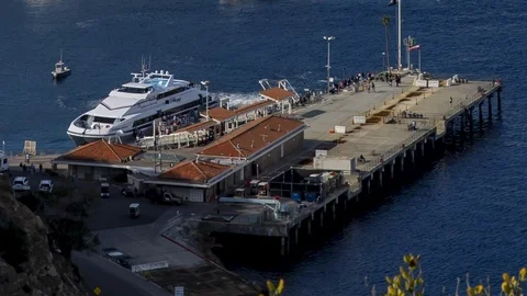 Avalon Harbor 스톡 동영상 100299048