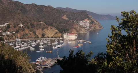 Avalon Harbor From Treetop Hillside Vídeo Stock 147363764