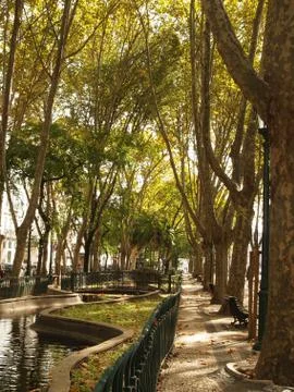 Avanida Stroll 写真素材